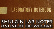 Shulgin Lab Notes Online Now at Erowid.org
